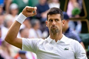 关于德约科维奇在瑞士队比赛中出色防守，败北引发热议！的信息